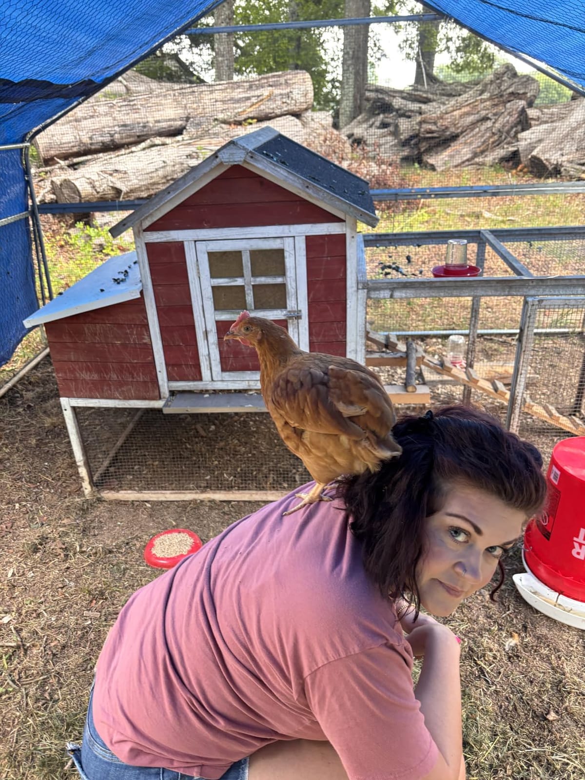 Poultry Pro Chicken Waterer for 5 Gallon Bucket, (Bucket Not Included) | As Seen on Shark Tank, Hands-Free Gravity Fed Water for Chickens, Ducks & Small Birds customer photo 2