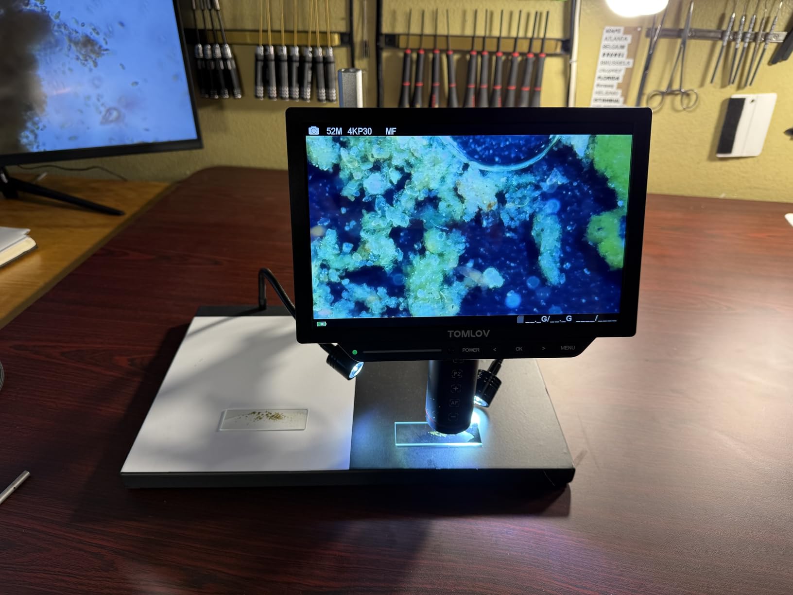 TOMLOV 4K Autofocus Microscope TM4K-AF Max, 10.1