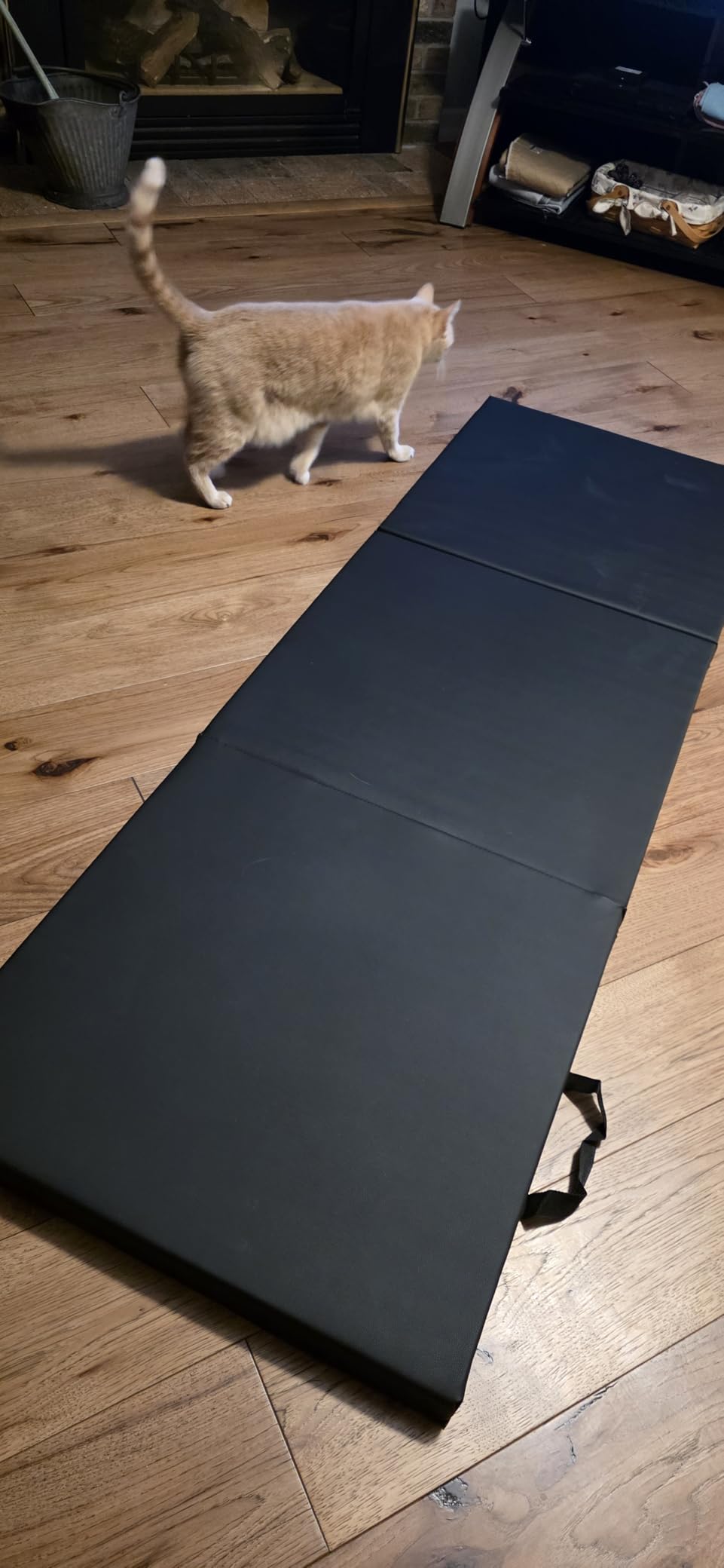 CAP Barbell All Purpose Folding Anti Tear Exercise Training Aerobic Fitness Gym & Gymnastics Balance Mat | Multiple colors customer photo 2