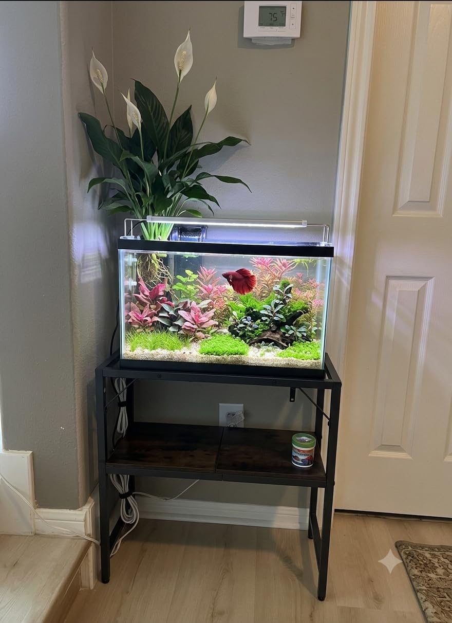 MAHANCRIS 20 Gallon Fish Tank Stand, Aquarium Stand with 2-Tier Storage Shelves, Heavy Duty Breeder Turtle Terrarium Stand Rack for Home Office, 24.0