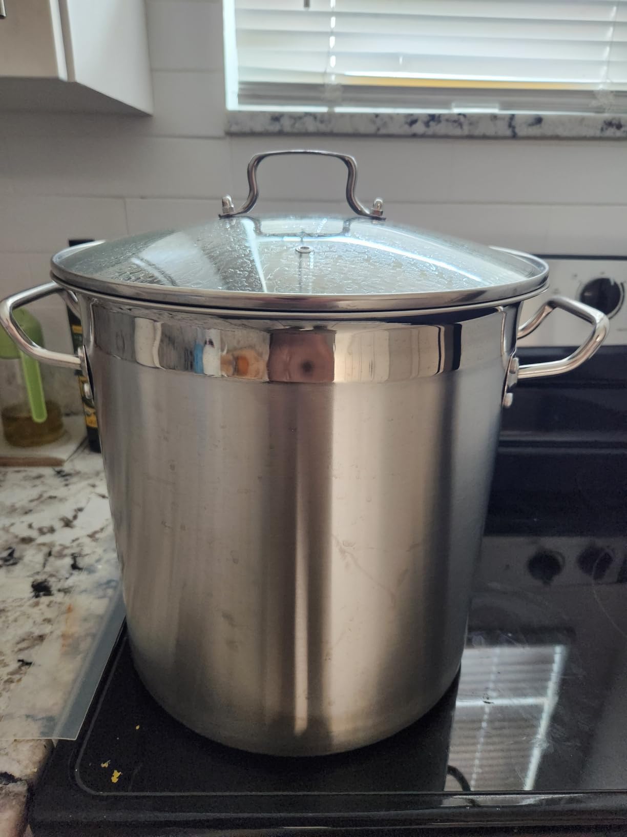 STOCKPOT Commercial Grade Large Stock Pots - Soup Pot with Lid - Non-Nickel Stainless Steel - Healthy Cookware Polished Stockpots - Heavy Duty - 35 Quart (8.8Gallon) customer photo 1