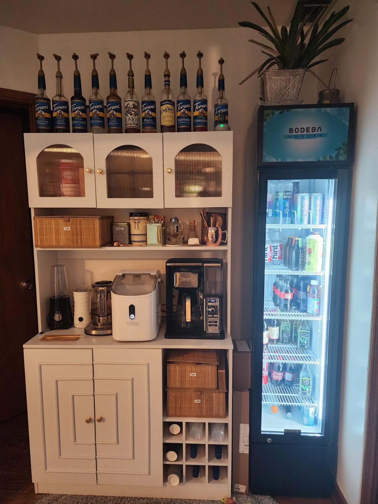 BODEGACOOLER Commercial Refrigerator, 5.7 Cu.Ft Glass Door Beverage Cooler | Merchandiser Refrigerator with Adjustable Shelves, Upright Single Swing Glass Door Display Refrigerator with Soft LED Light customer photo 1