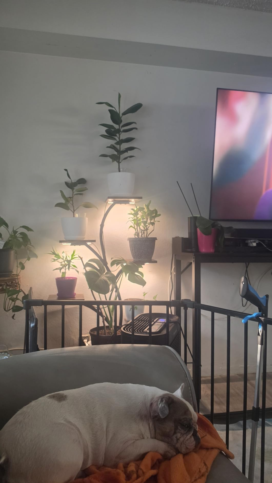 BACEKOLL Plant Stand Indoor with Grow Light, 7 Tiered Indoor Plant Shelf, 49