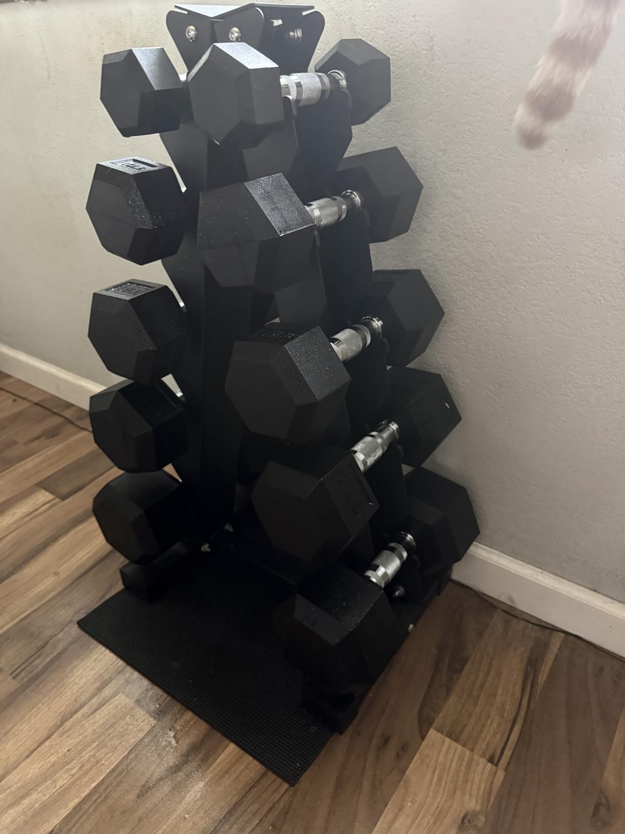 BalanceFrom Rubber Coated Hex Dumbbell Weight Set with Storage Rack, 100LB or 150LB or 200LB Set, 5-20 lbs or 5-25 lbs or 10-30 lbs Pairs customer photo 2