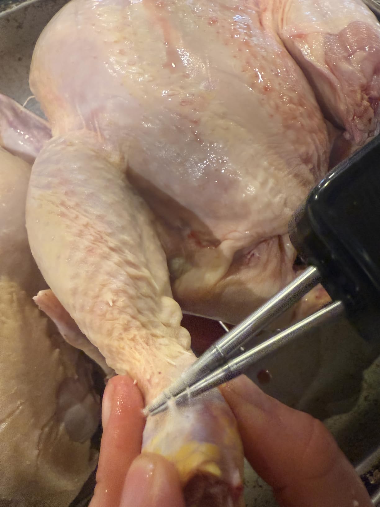 ORIXA Heavy-Duty Electric Chicken Plucker, High-Power Cordless Poultry Feather Remover with Auto-Adjusting 304 Stainless Steel Tweezer Head, Rechargeable for Chicken, Duck & Goose customer photo 2