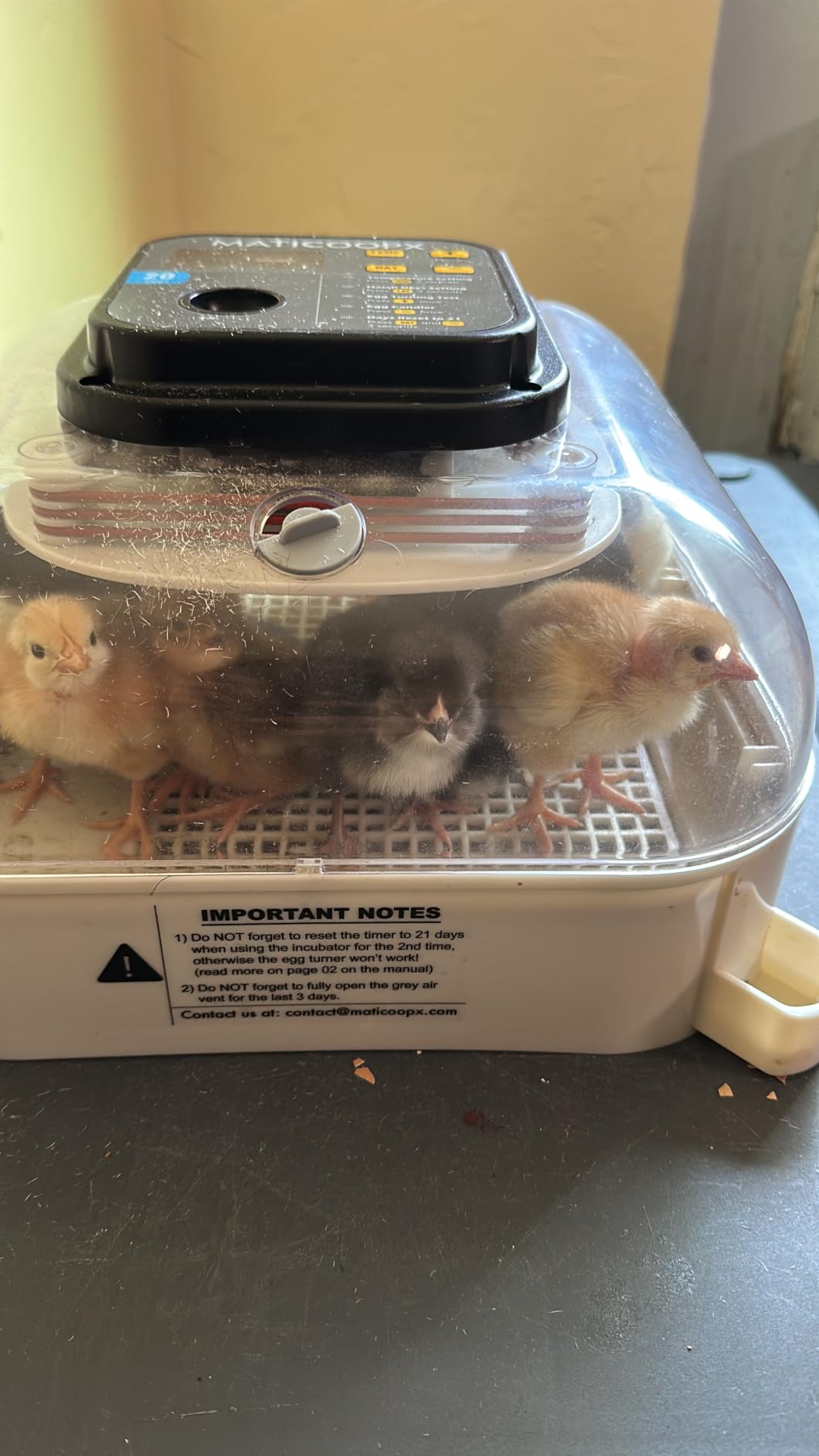 MATICOOPX 20 Egg Incubator with Humidity Display, Egg Candler, Automatic Egg Turner, for Hatching Chickens customer photo 2
