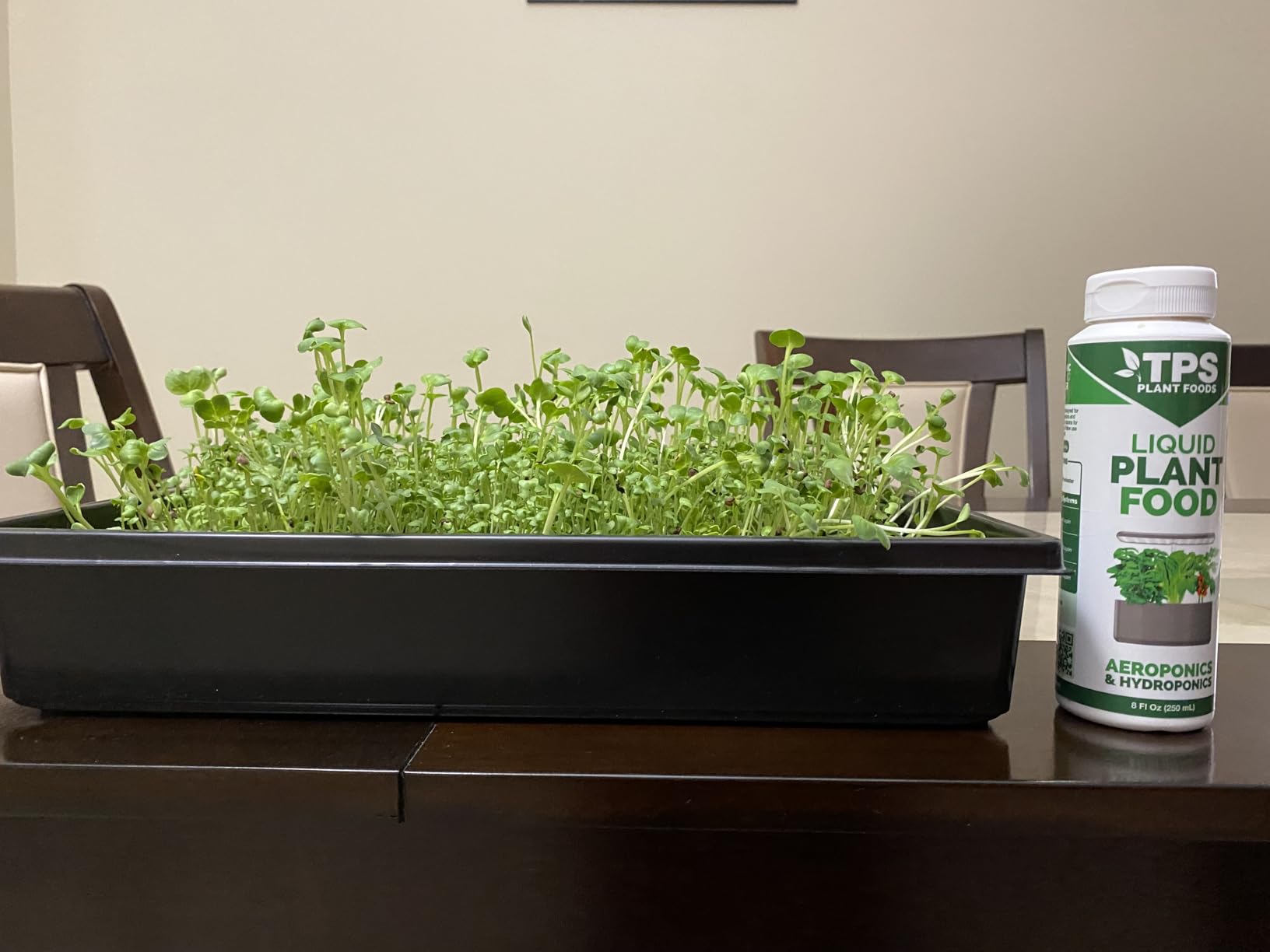 Microgreens Growing Trays Kit - 6 Pack Micro Green Grow Trays with 12 Hemp Fiber Grow Mats, 15 x 11 x 2.5 Inch Seed Starter Trays for Growing Microgreens, Indoor Gardening customer photo 2