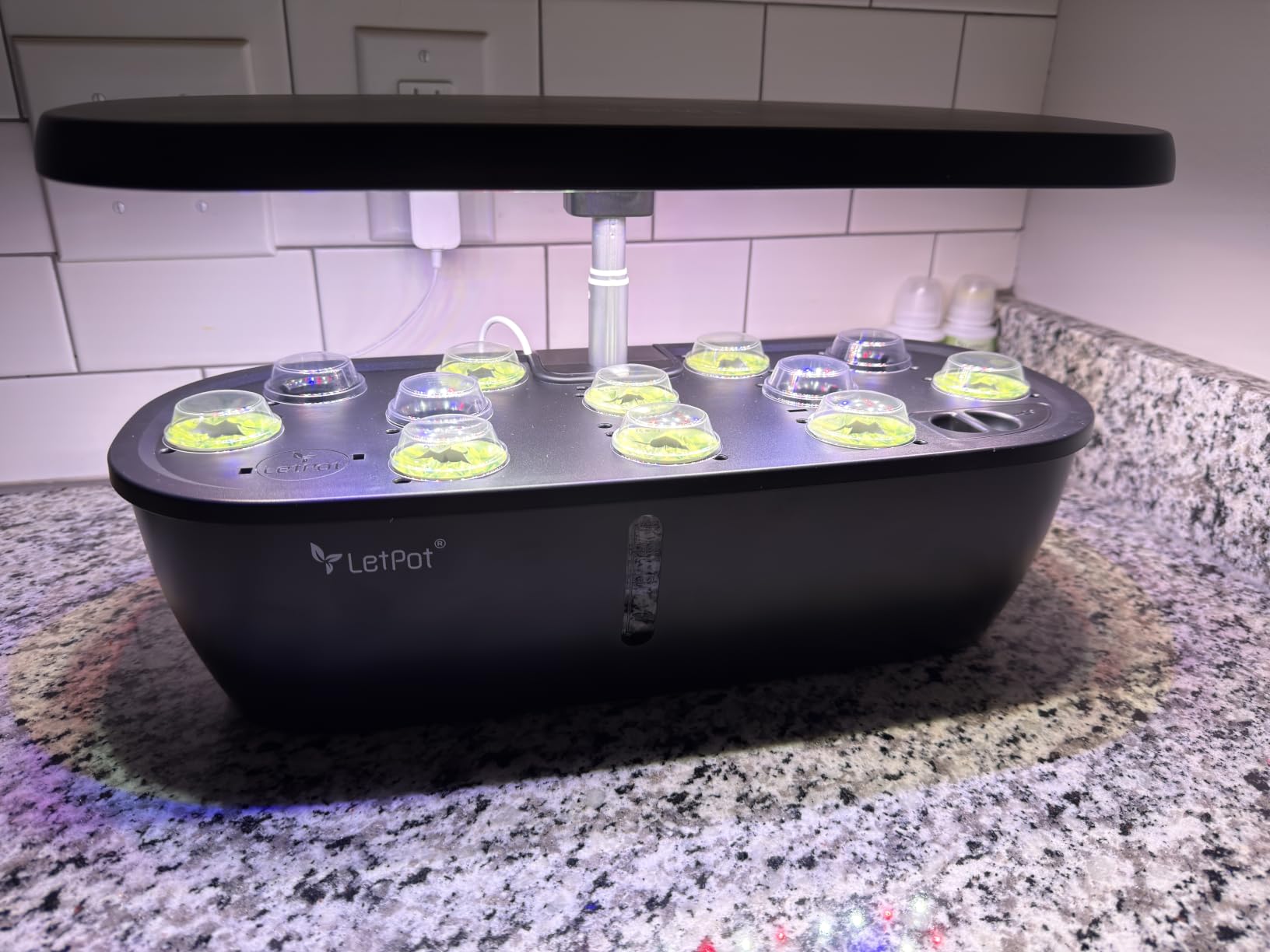 LETPOT LPH-Air Hydroponics Growing System Kits, APP & WiFi Controlled Smart Indoor Garden with 24W Grow Light Full Spectrum, 10 Pods Planter customer photo 2
