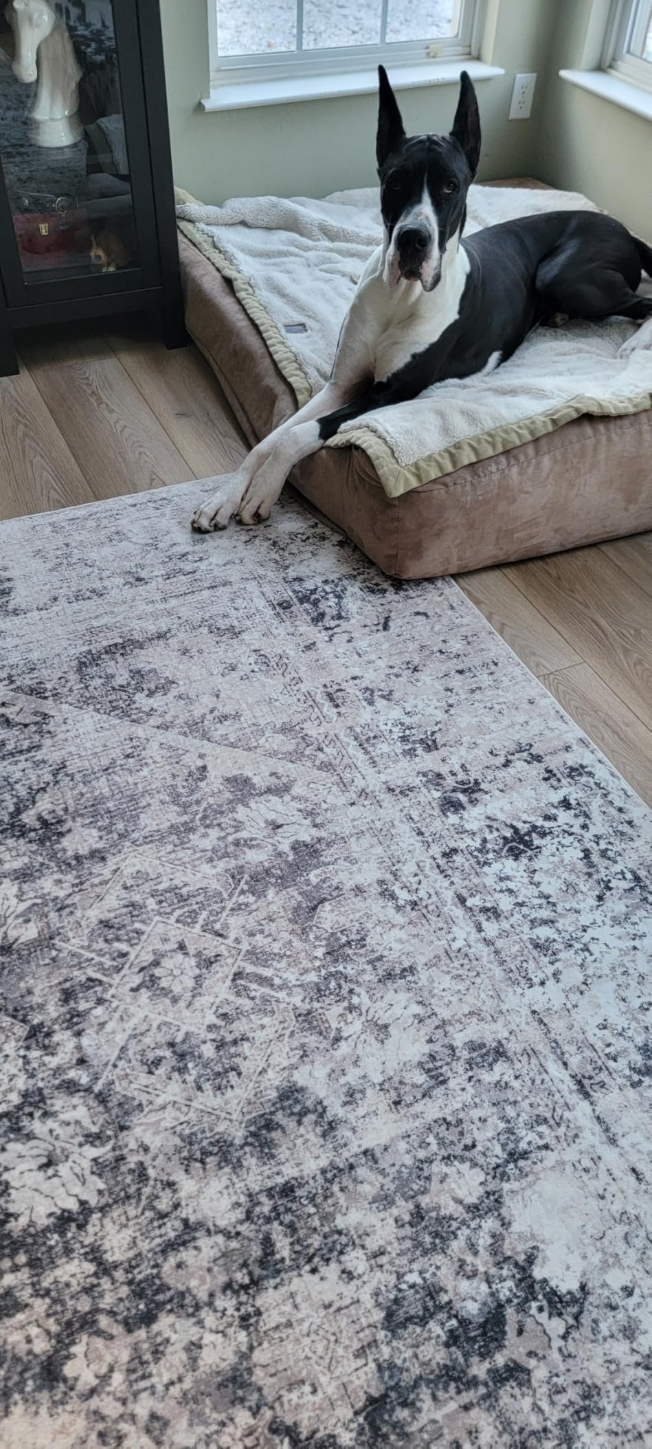 8x10 Area Rugs Washable for Living Room: Multi Abstract Large Carpet | Soft Non-Slip, Low Pile Thin, Stain Resistant, Safe Durable, Pet-Friendly Vintage for Dining, Bedroom, Office, Farmhouse, Nursery customer photo 2