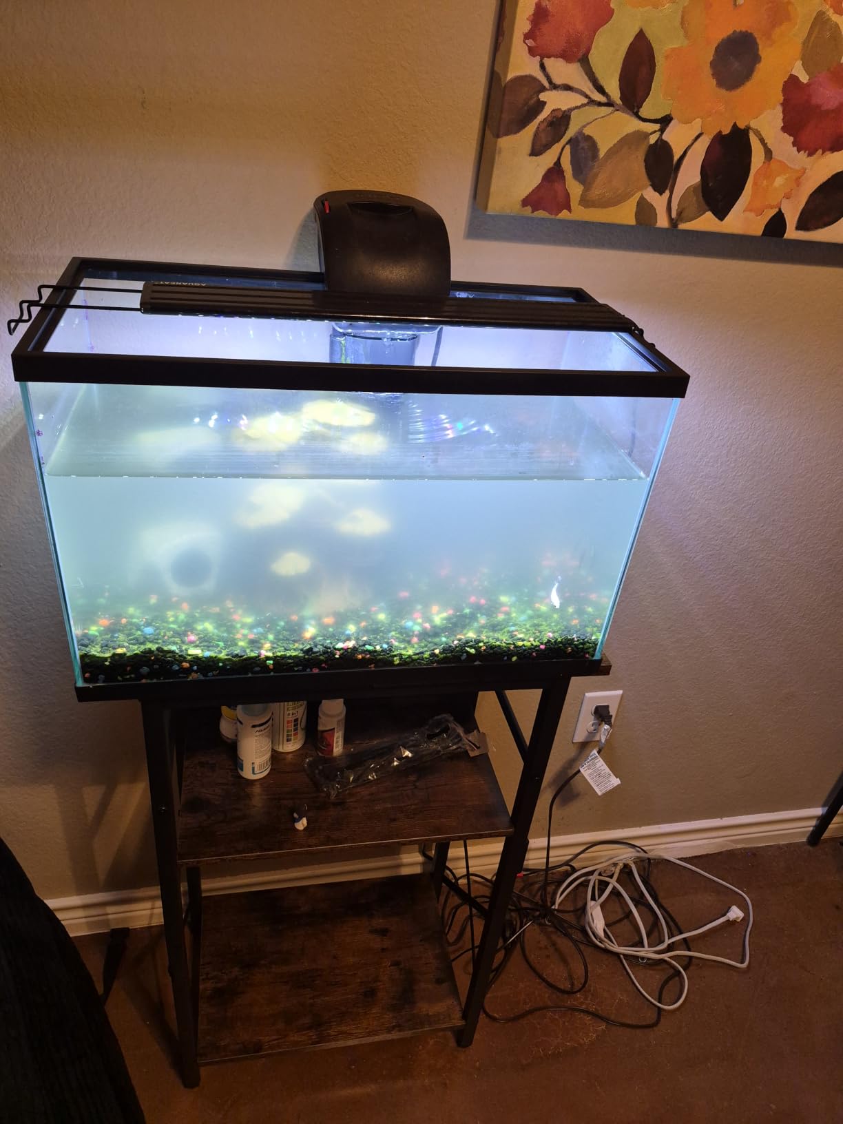 HOOBRO 10 Gallon Aquarium Stand, 3-Tier Fish Tank Stand with Storage, Reptile Turtle Tank Stand with Metal Frame, 20.5