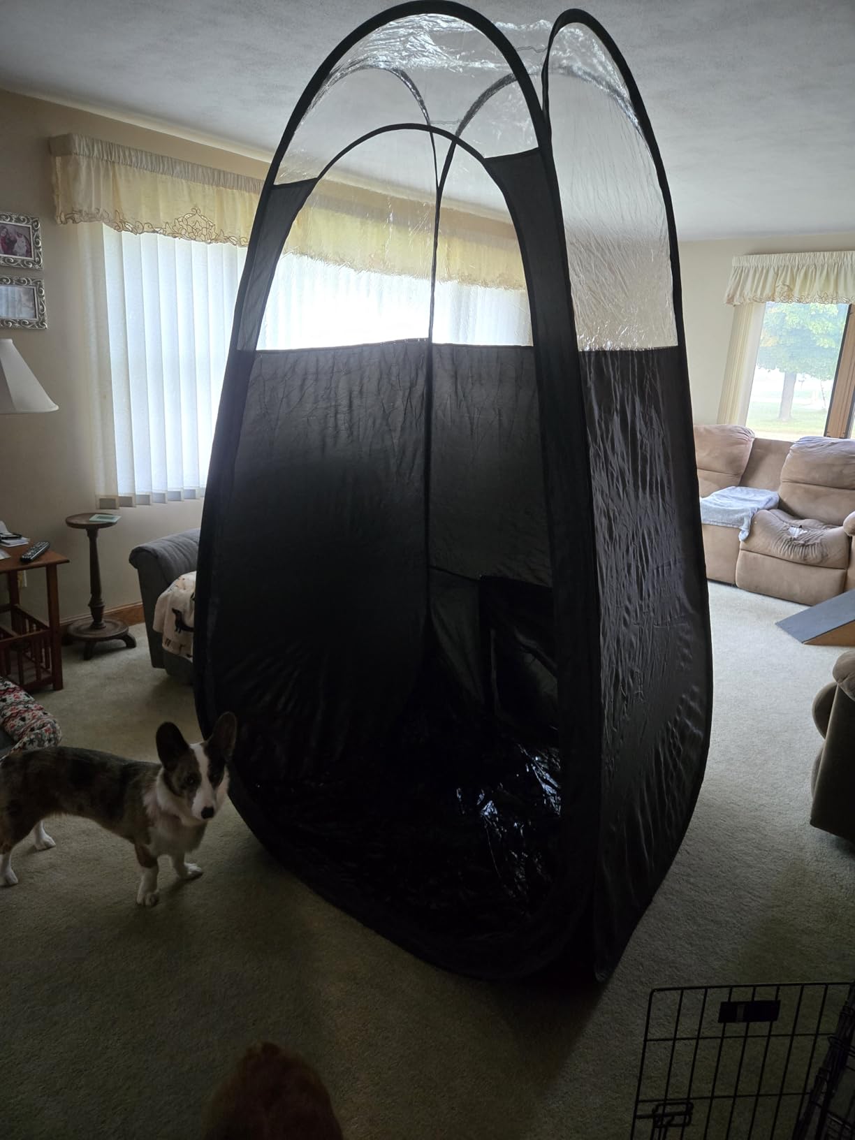 Large Spray Tan Tent - Deluxe Pop Up Tent Portable Tanning Booth with Carry Case - Clear Window for Perfect Spray Tanning - Easy Clean for Home & Salon customer photo 1