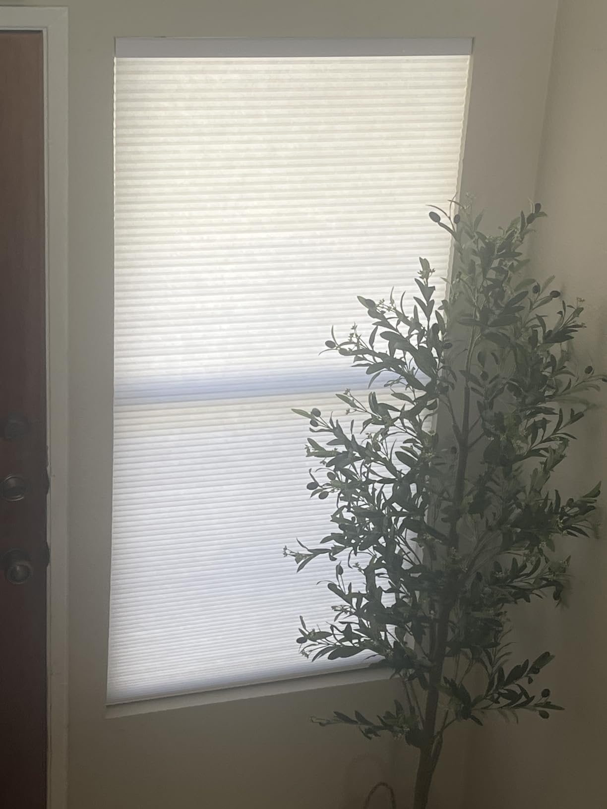 Calyx Interiors Cellular Shades, 23.5