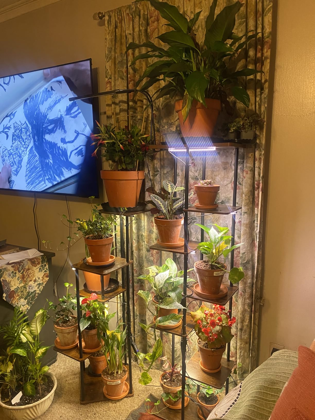 Bamworld Tall Plant Stand Indoor with Grow Light Corner Plant Shelf | 5 Tier Plant Shelf with Grow Lights for Plants Living Room Bedroom Patio Garden Balcony Decor customer photo 2