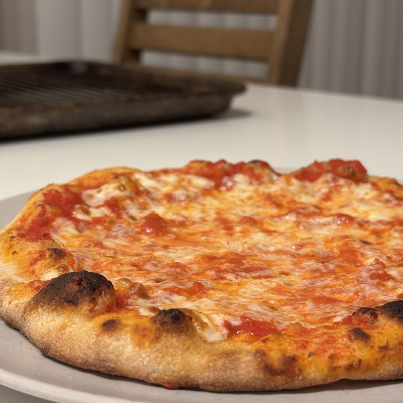 BIG HORN 14-Inch Indoor Pizza Oven, 850°F High-Heat Electric Countertop Pizza Oven for Restaurant-Style Artisan Pizza with Pizza Stone and Pizza Peel, PID Precision Temperature Control customer photo 2