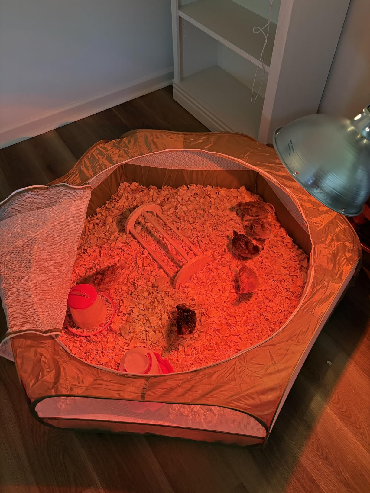 Pawaboo Chick Brooder Box for Chick Starter Kit, Brooder Pen/Chicken Supplies Brooders Box with Chicks Perch Brooding Up to 15 Chicks, Duck and Quail, Red+Black customer photo 1