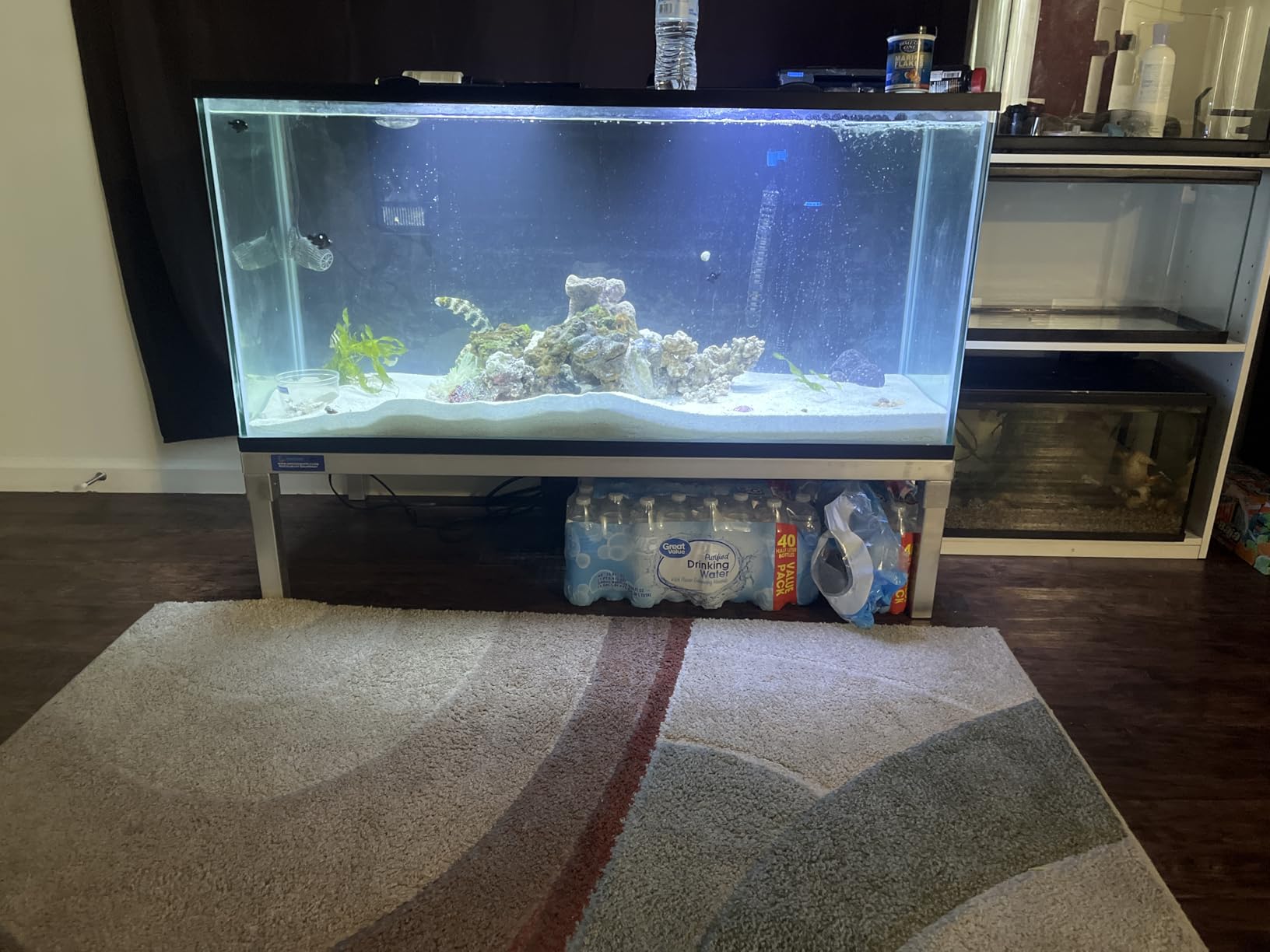 24 in X 48 in. Aquarium Stand | Industrial Style Aluminum Fish Tank Base with Open Frame Design customer photo 1