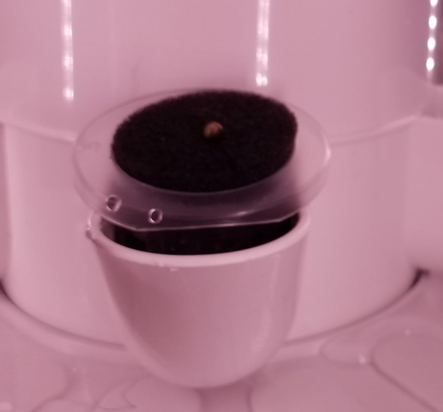 CARPATHEN Hydroponic Tower Growing System, Indoor Gardening for 30 Plants | 6 Hydroponic Columns, Grow Lights, Water Pump, Seedling Kit customer photo 2