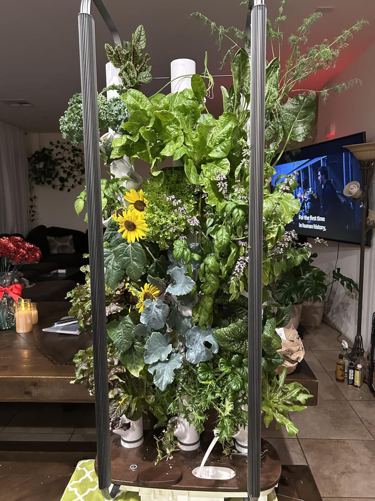 Gardyn Home 4 Vertical Hydroponics Growing System Kit - 30 Plants | AI-Powered Smart Garden with LED Grow Lights customer photo 1