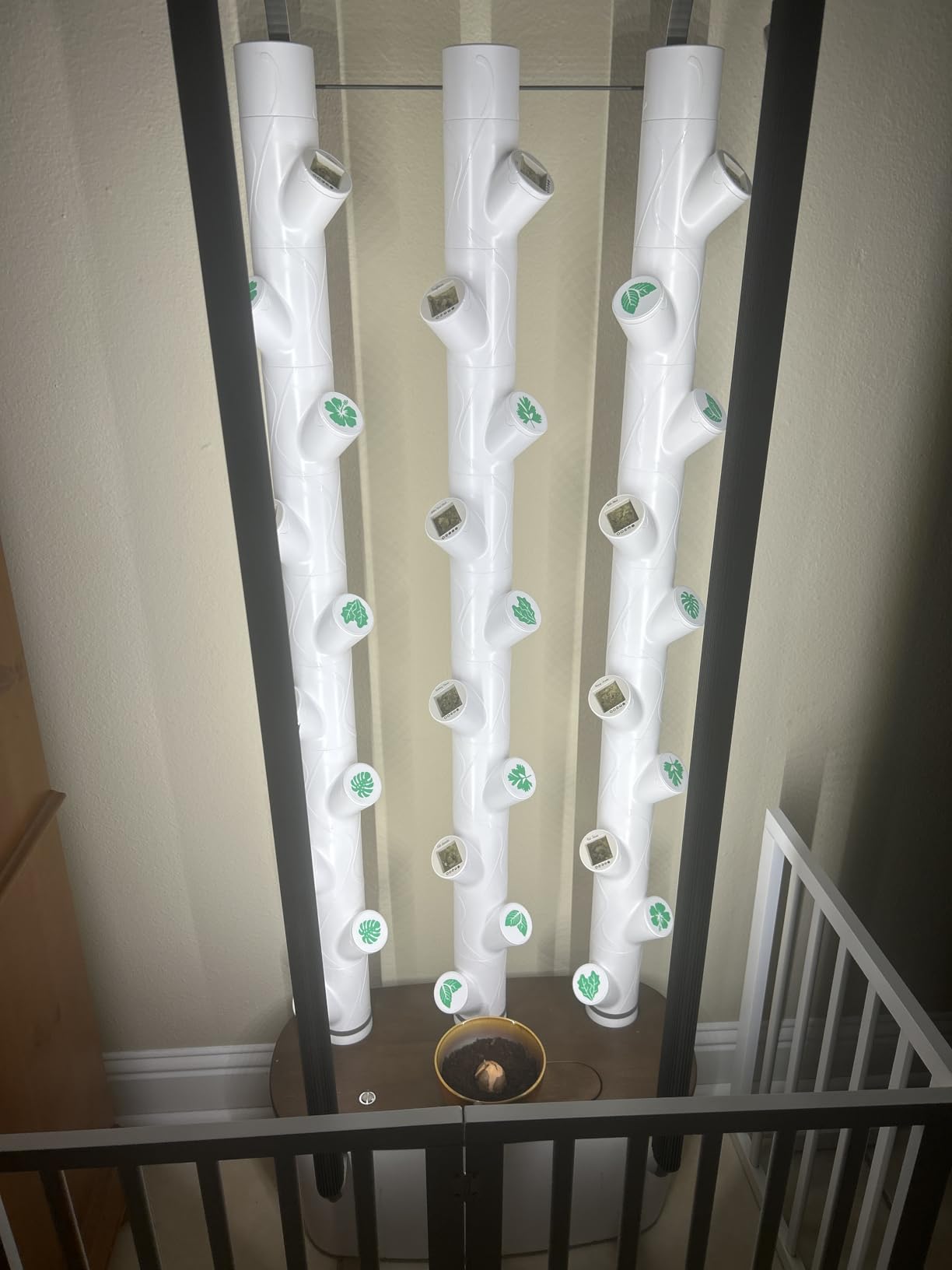 Gardyn Home 4 Vertical Hydroponics Growing System Kit - 30 Plants | AI-Powered Smart Garden with LED Grow Lights customer photo 2