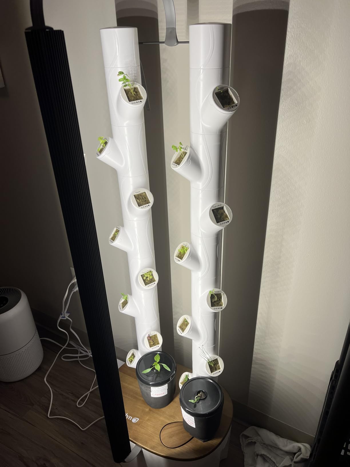 Gardyn Studio 2 Hydroponics Growing System - 16 Non-GMO Plants, Herbs, Vegetables - Smart Tower customer photo 1