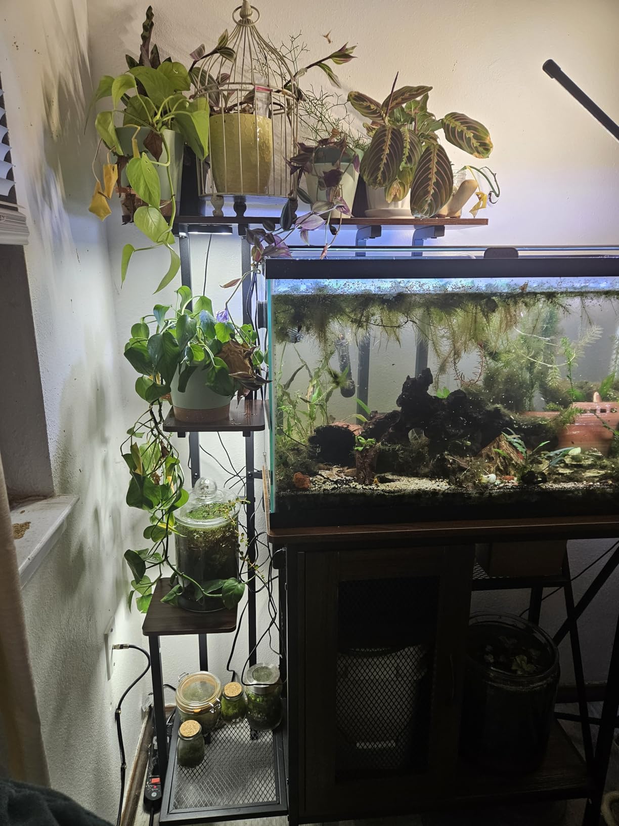 20-29 Gallon Fish Tank Stand with Plant Shelf, 2-in-1 Walnut Aquarium Stand | Built-in Power Outlet, Full Spectrum LED Grow Light, Adjustable Storage Shelves, Stable Metal Frame for Home Use customer photo 1