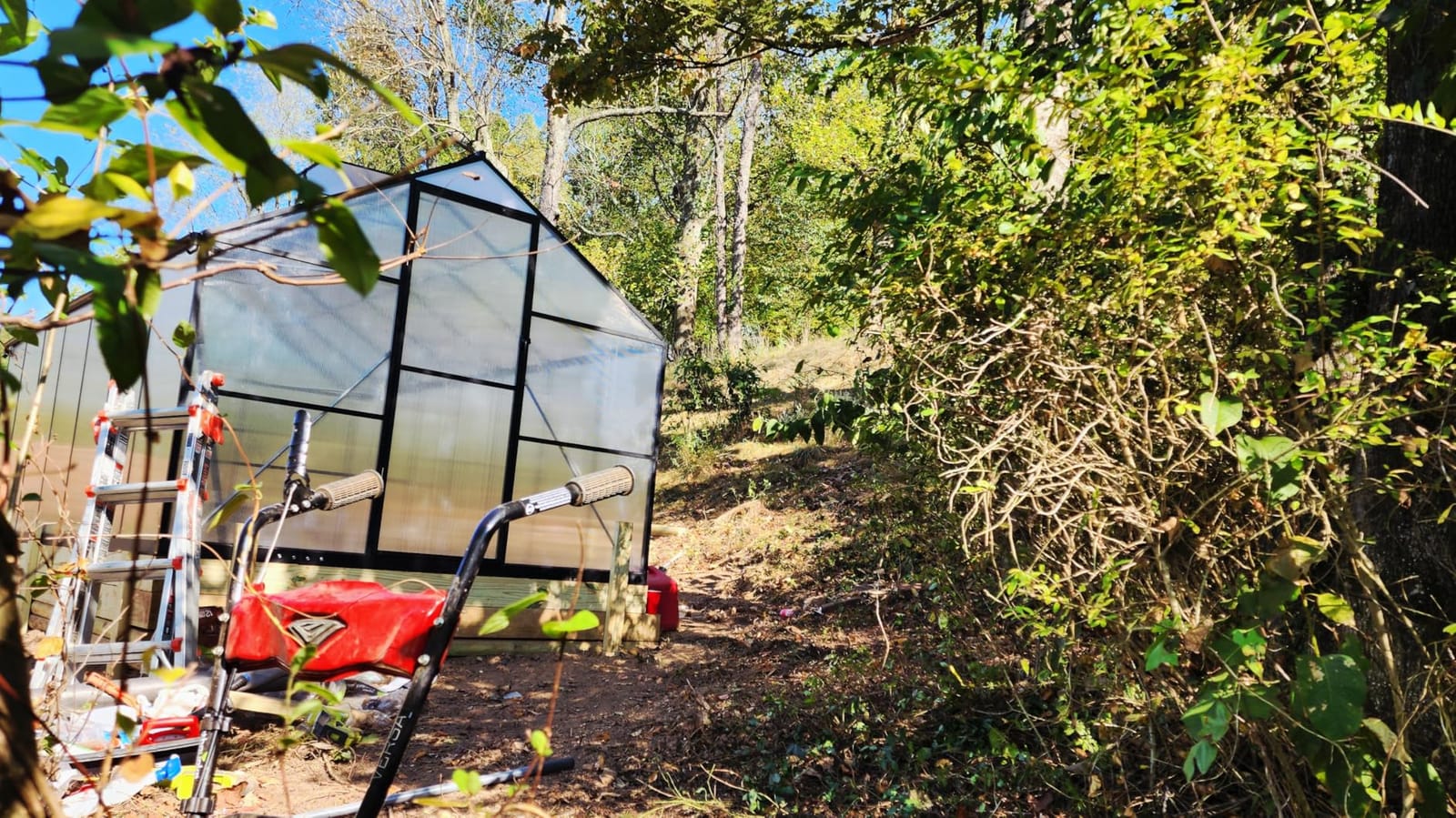 6x10FT Greenhouse with Hygrometer, Windproof Warm Plant Green Houses | Polycarbonate Green House with UV Protection, Heavy Duty Greenhouse with Aluminum Frame, Roof Vent & Quick-Install Design customer photo 2