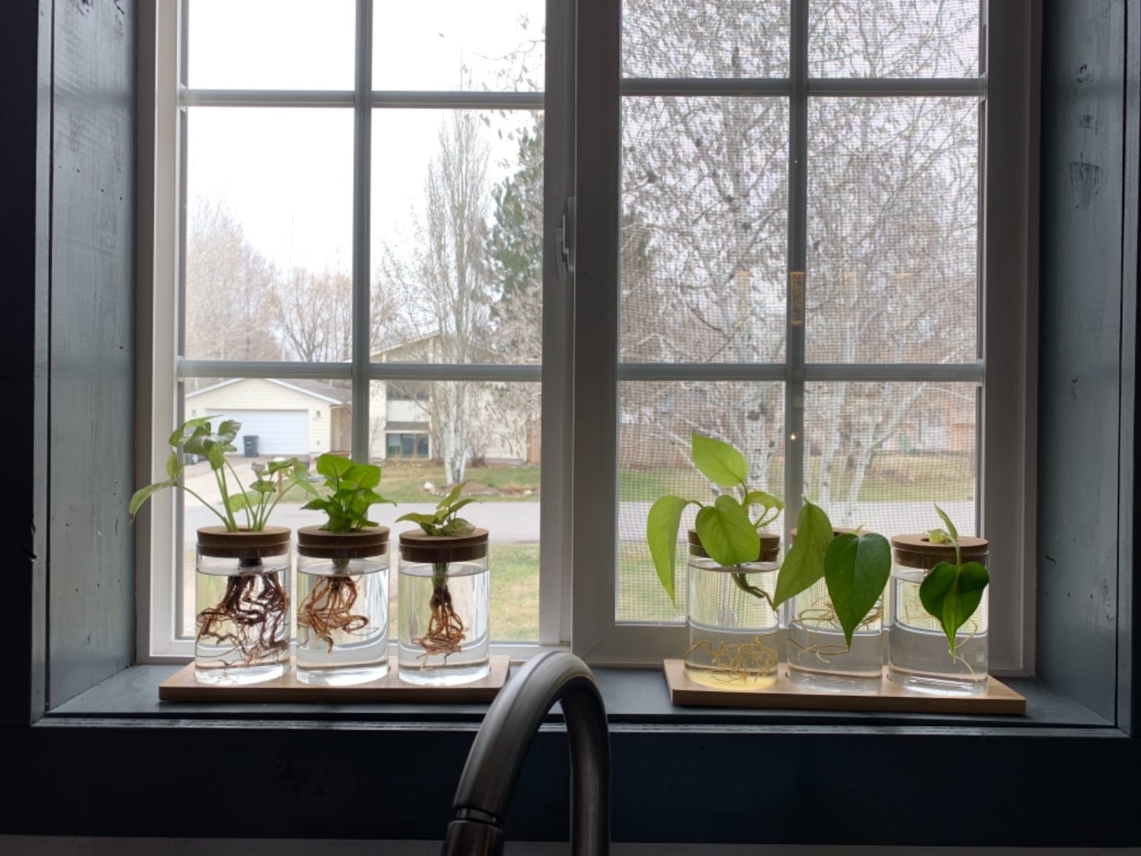 Plants Propagation Station | Vertical Hydroponic Tower Garden - Hydroponics Growing System Indoor, Aeroponic Tower Kit 30 Pods customer photo 2