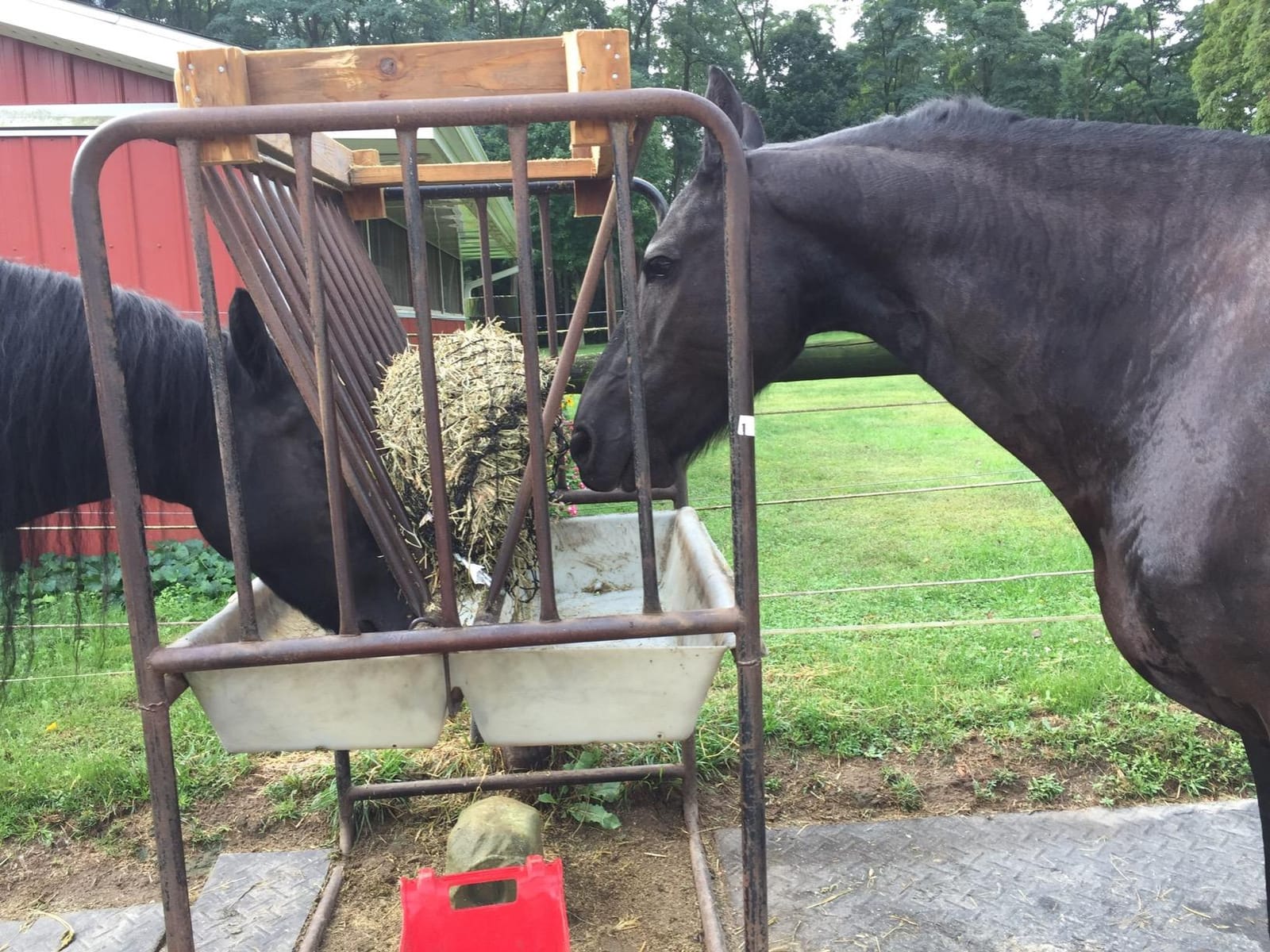 hay chix Half Bale Slow Feed Hay Net for Horses - 1 3/4