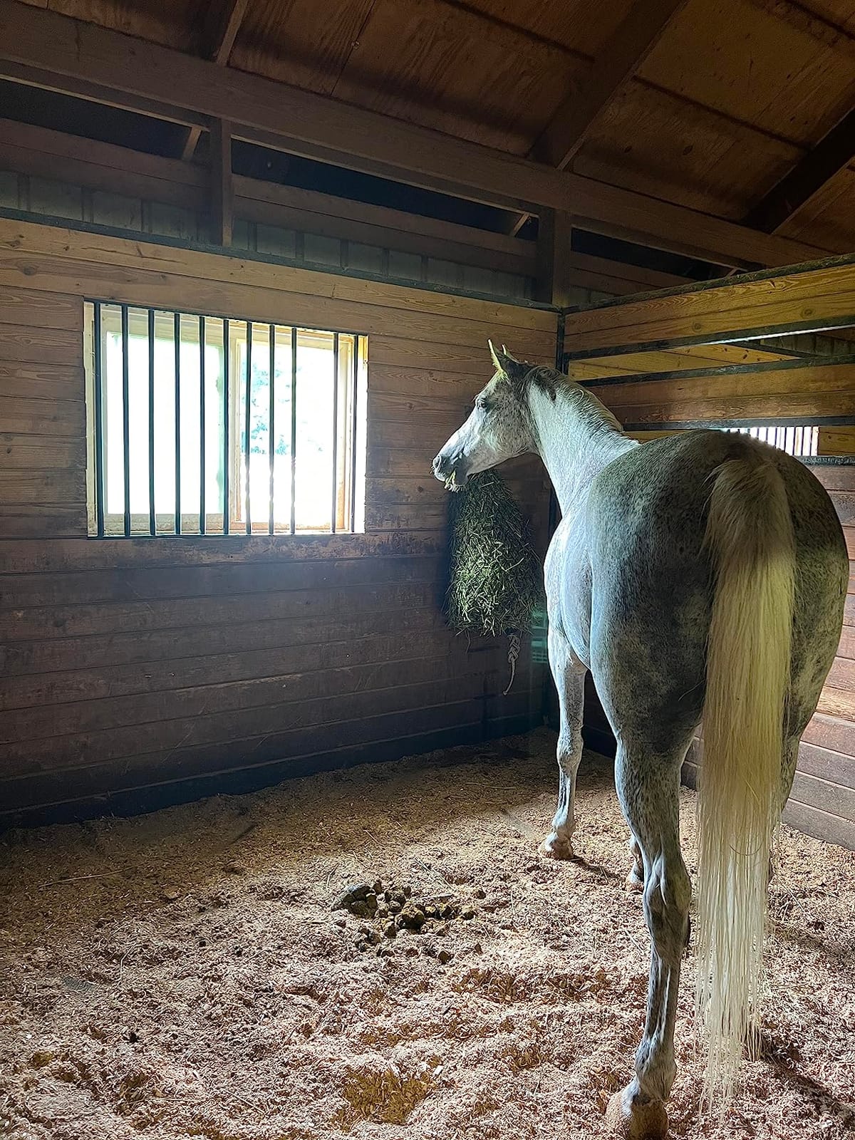 hay chix Half Bale Slow Feed Hay Net for Horses - 1 3/4