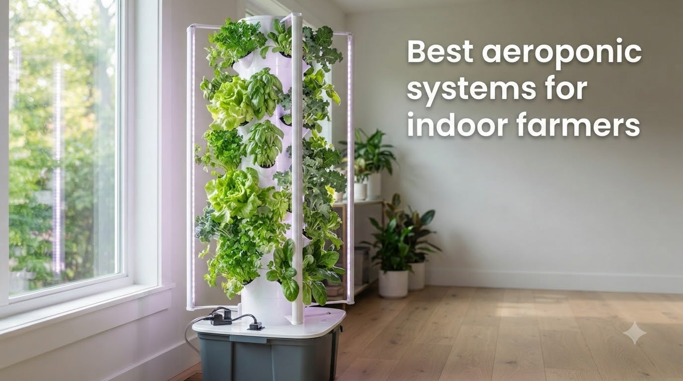 Best aeroponic systems for indoor farmers