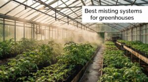 Best misting systems for greenhouses