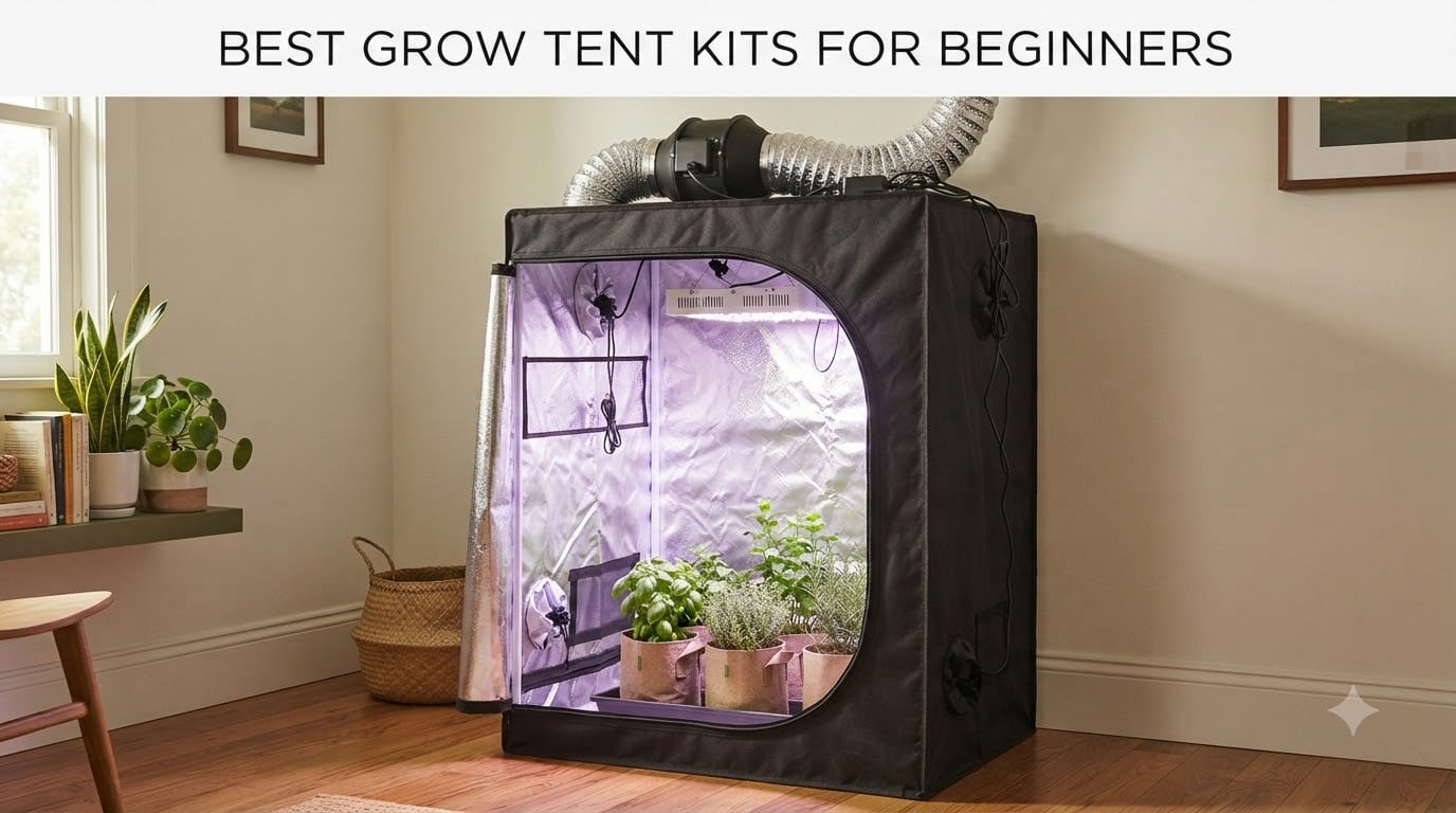 Best grow tent kits for beginners