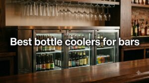 Best bottle coolers for bars