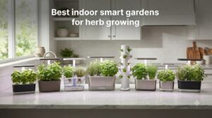Best indoor smart gardens for herb growing
