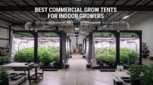 Best commercial grow tents for indoor growers