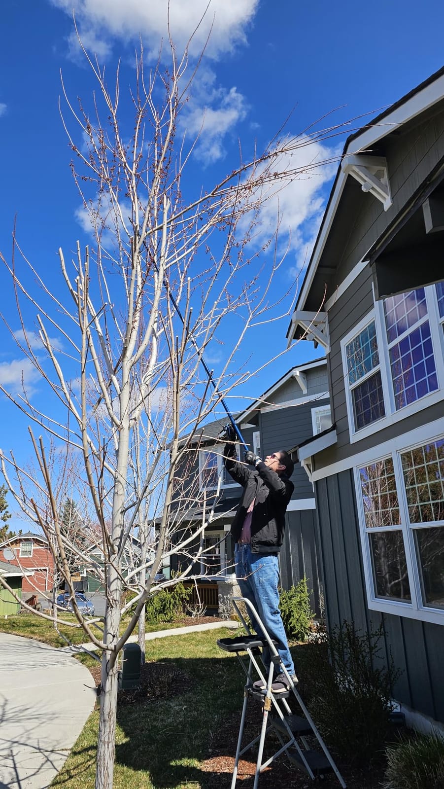 Spear & Jackson 4930FZ Razorsharp Telescopic Tree Pruner, Extendable Pole Handle for Removing High Branches, Sharp Saw Blade for Cutting Thick Limbs and Powerful Pull Cord Lopper for Light Trimming customer photo 2