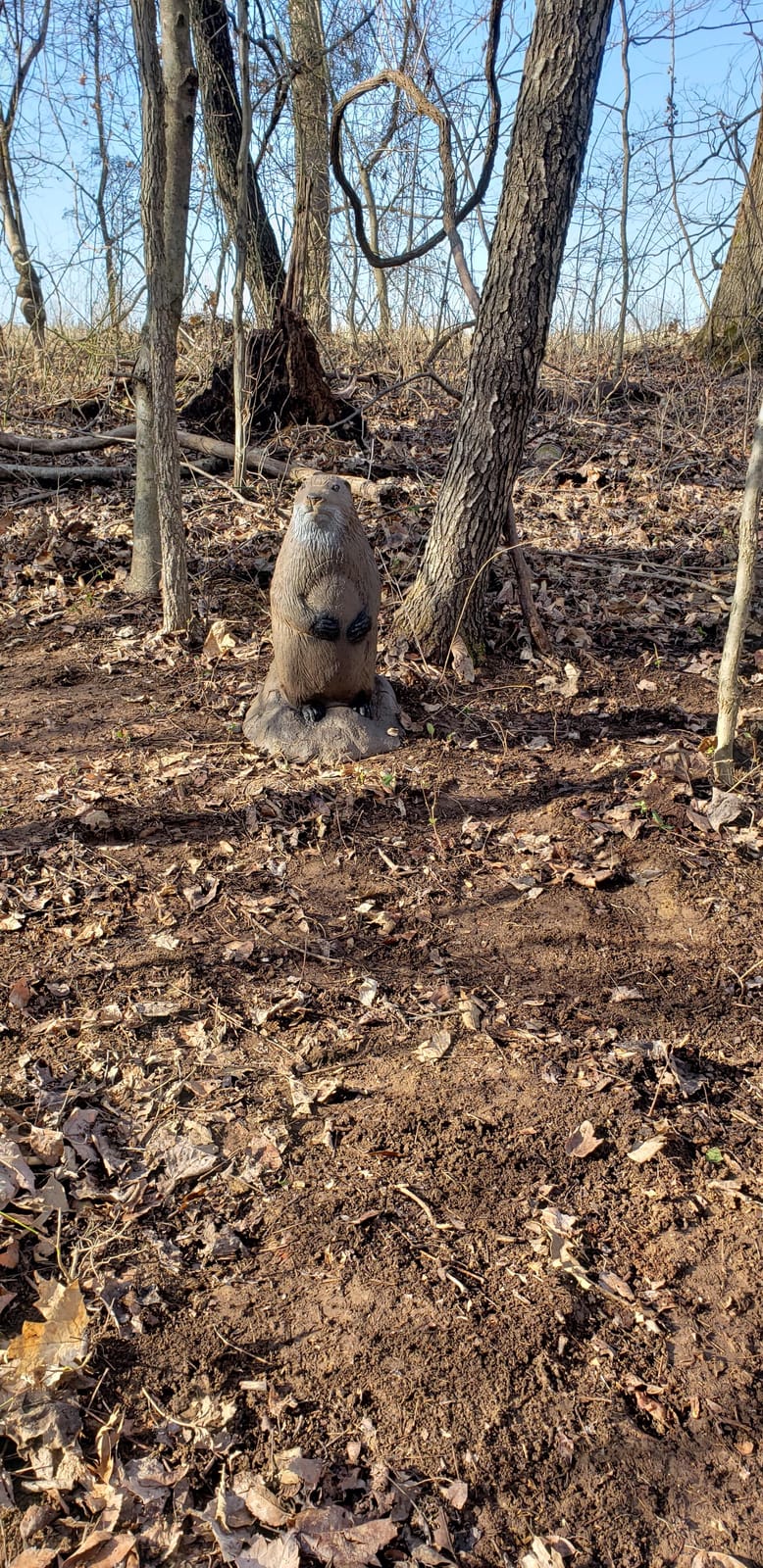 Delta McKenzie Back yd 3D Woodchuck Target, Brown customer photo 2