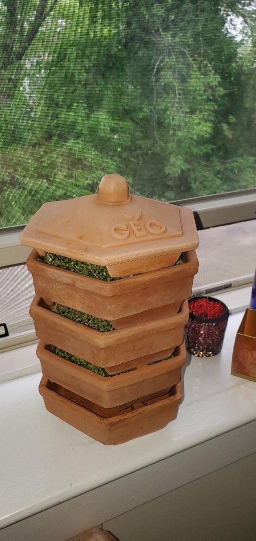 GEO Terradisiena 4-Tier Terracotta Sprouter customer photo 1