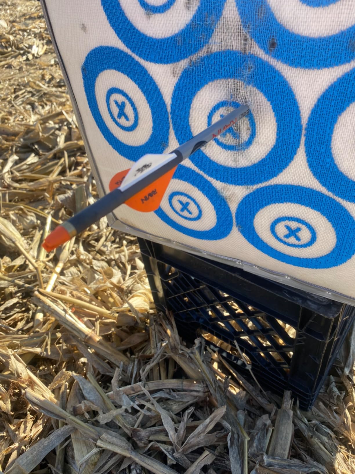 SpyderWeb 18XL No Speed Limit Crossbow Target 500+ FPS customer photo 2