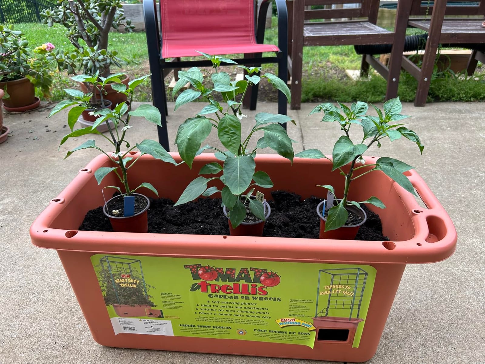 Hydrofarm GCTR Tomato Grow System, 10 Gal Planter, 4 Ft Trellis, Wheels customer photo 2
