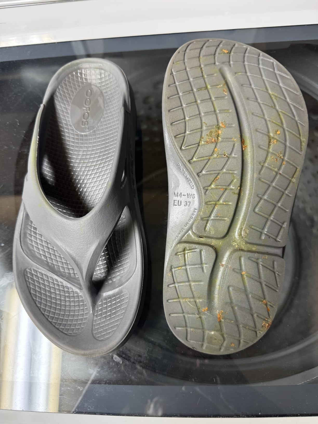 OOFOS OOriginal Recovery Sandal - Women’s and Men’s customer photo 1