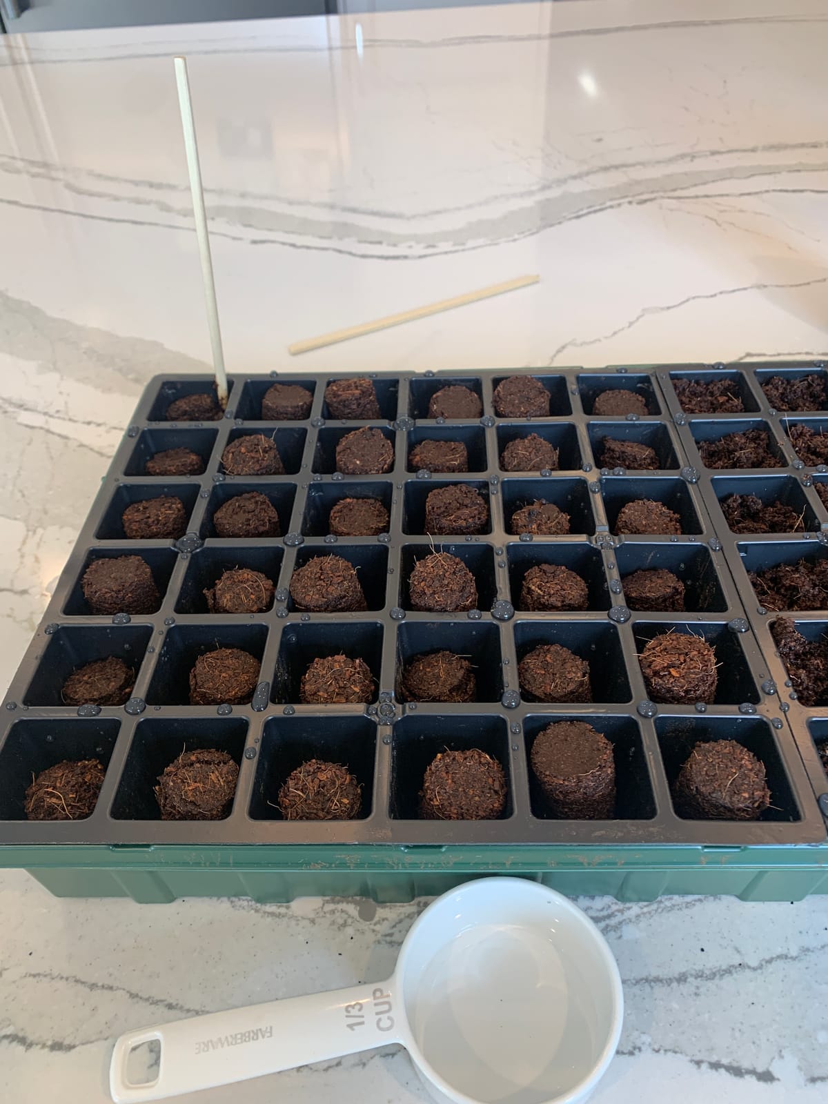 Burpee 72 Cell Seed Starting Kit with Greenhouse Dome and Coir Pellets customer photo 1