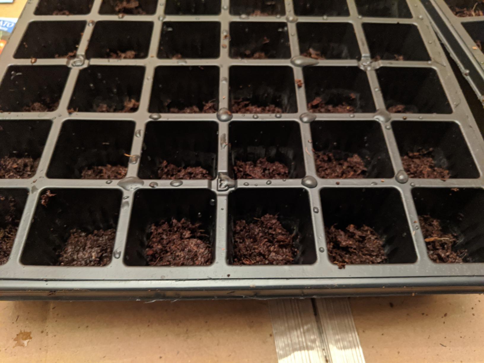Burpee 72 Cell Seed Starting Kit with Greenhouse Dome and Coir Pellets customer photo 2
