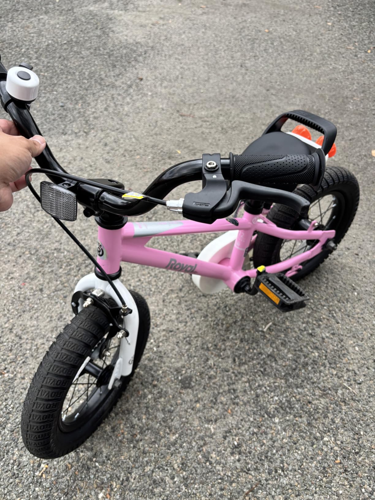 RoyalBaby Freestyle Kids Bike for Boys Girls Ages 3-10 Years customer photo 1