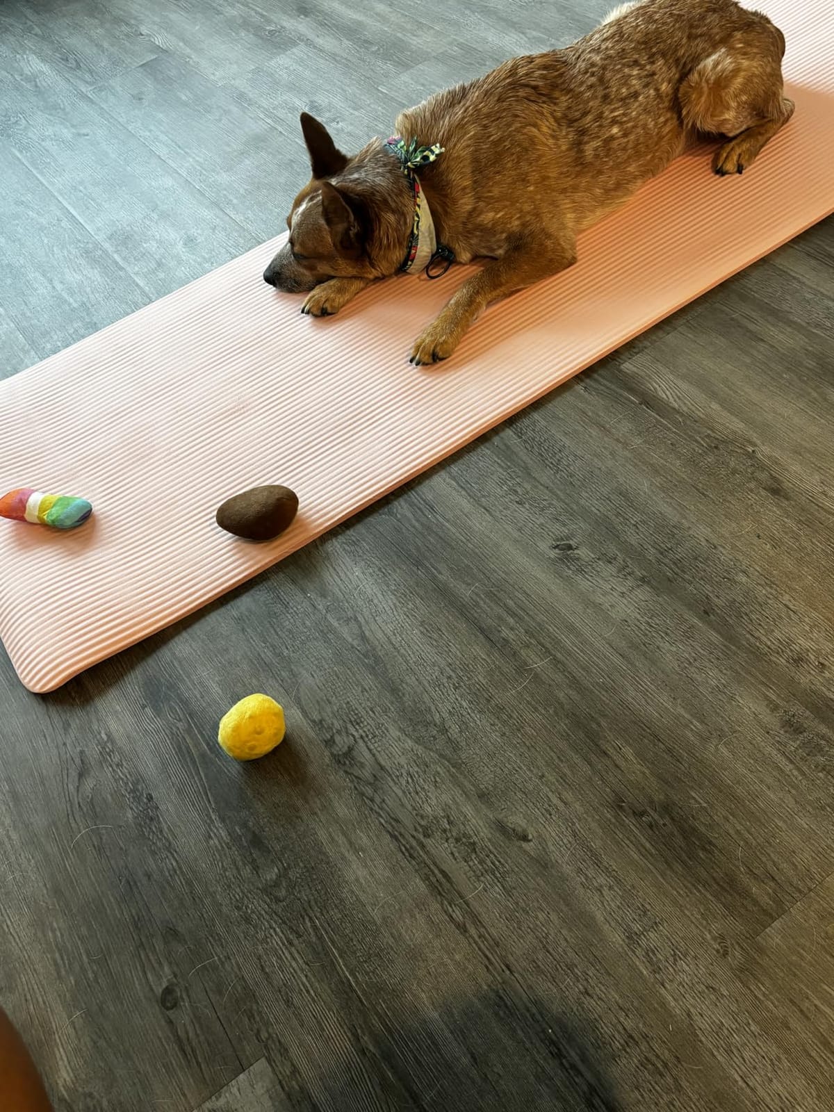 Fitvids Yoga Mat, 1/2-Inch Extra Thick High Density Exercise Mat, Anti-Tear Exercise Yoga Mat with Carrying Strap, Suitable for Various Yoga Exercises customer photo 1