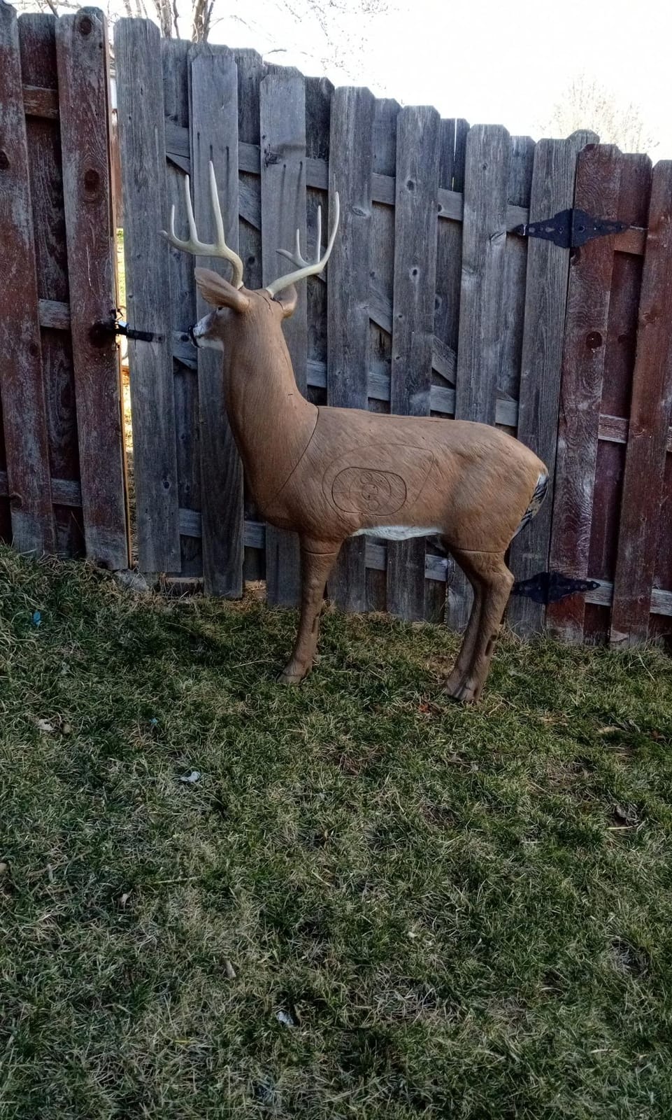 Delta 51490 Bloodline Buck, X-Large customer photo 2