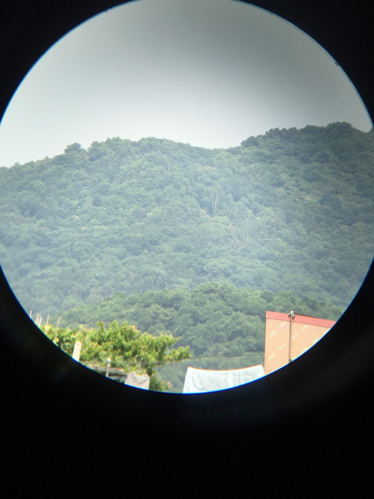 USCAMEL Compact Binoculars for Adults 8x21: Small Binoculars for Travel customer photo 1