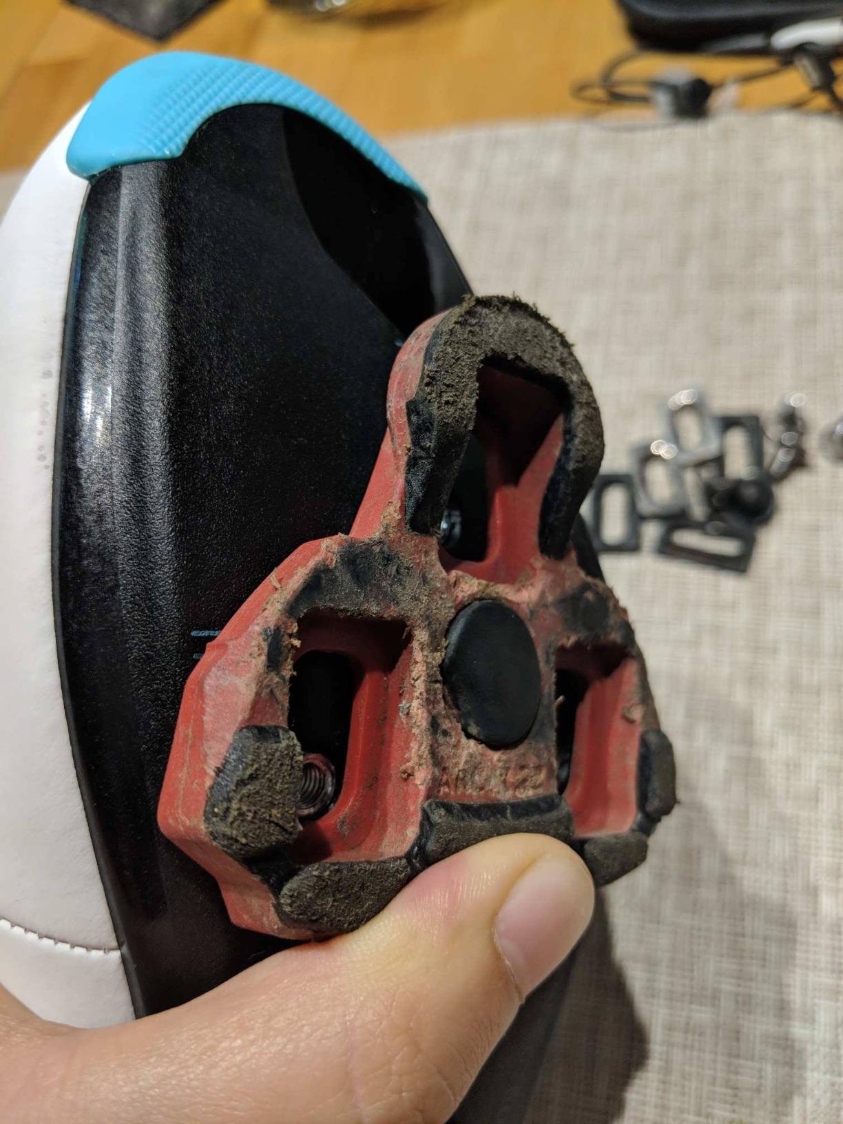 Fizik Women's R4 Donna BOA Road Cycling Shoes customer photo 1