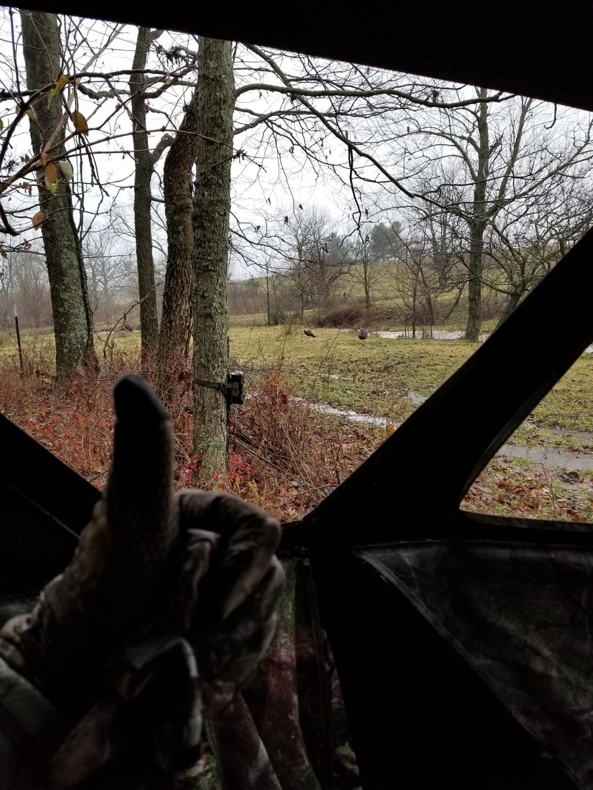 Barronett Blinds RA200BW Radar Pop Up Portable Blind, Bloodtrail Backwoods Camo, 67” x 71” x 71” customer photo 1