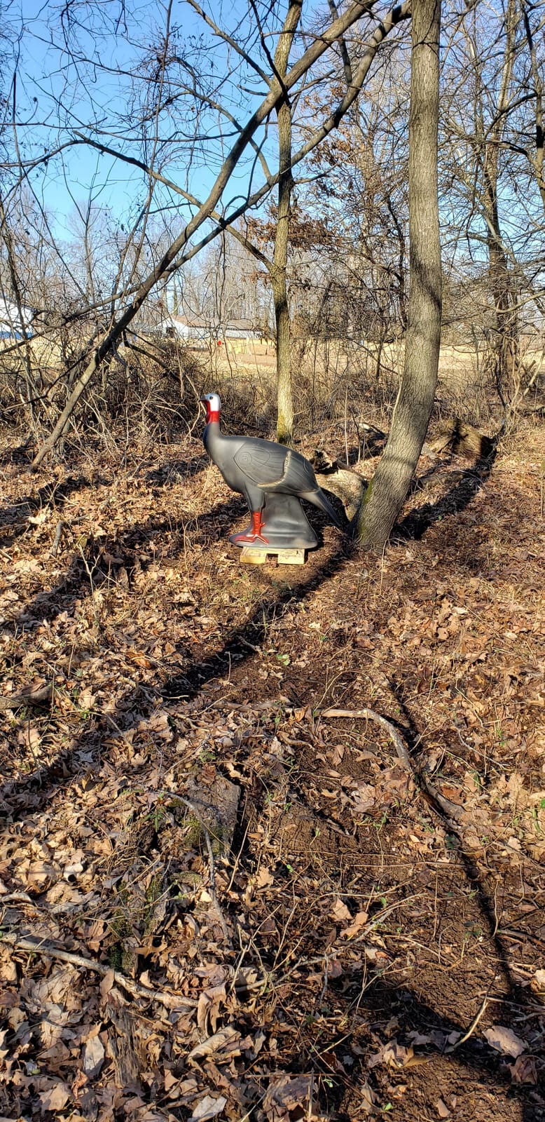 SHOOTER Turkey 3D Archery Target, Lifelike Solid Body Design for Realistic Practice, Scoring Ring in Vitals, Includes Ground Stakes, 32”H x 31.5” W Size customer photo 2